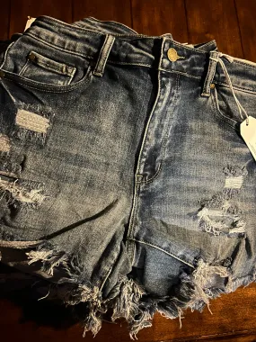 High Rise Distressed Stretch Shorts